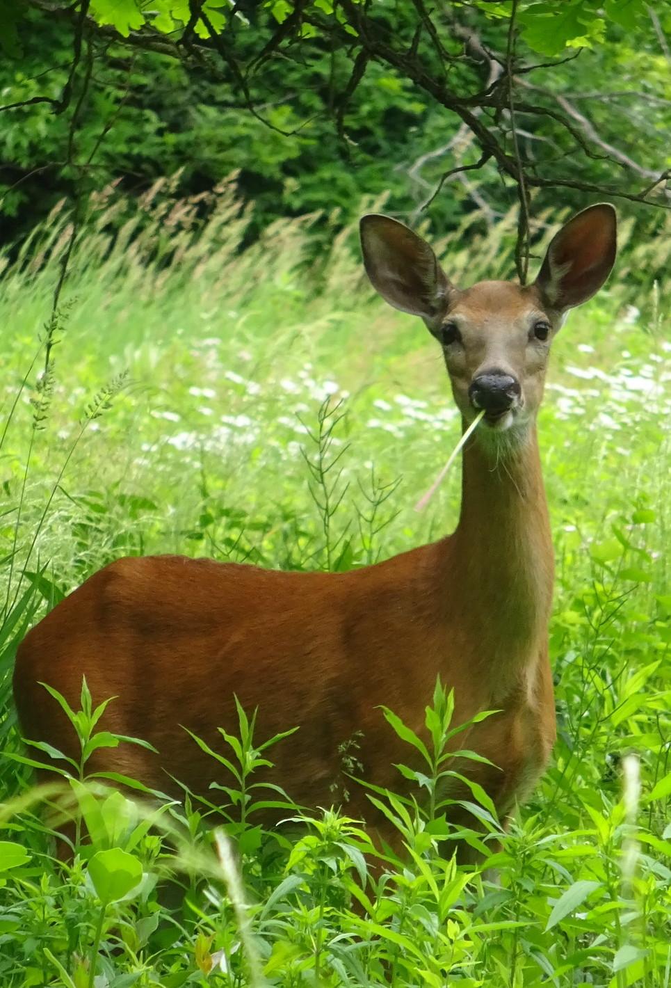 Nature reserves