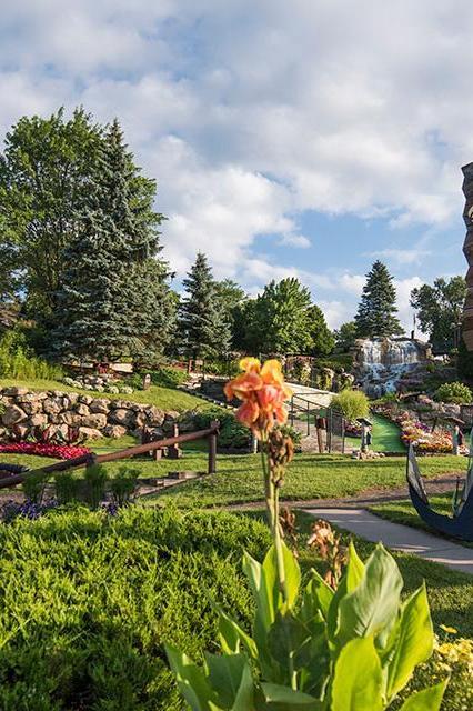 Pirate's Cove Adventure Golf